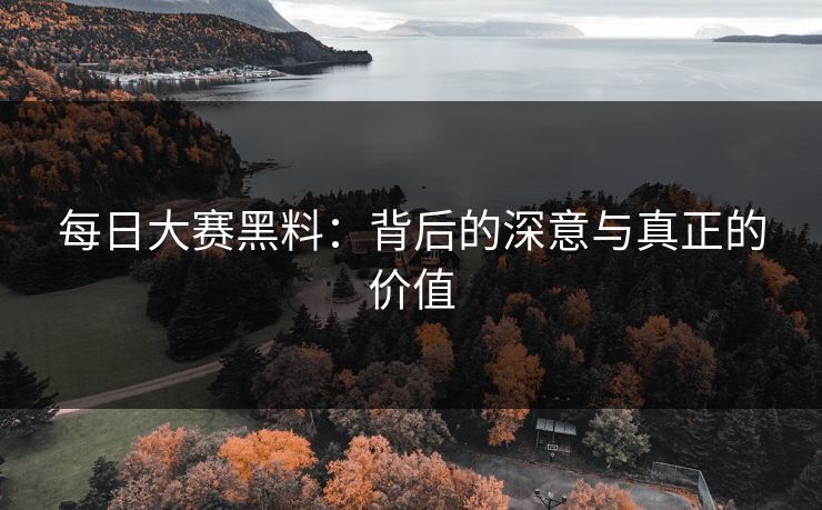每日大赛黑料：背后的深意与真正的价值